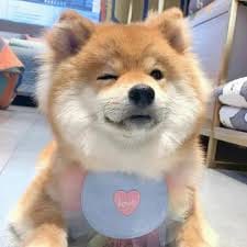 สารัชถ์ รัตนาวะดี profile image
